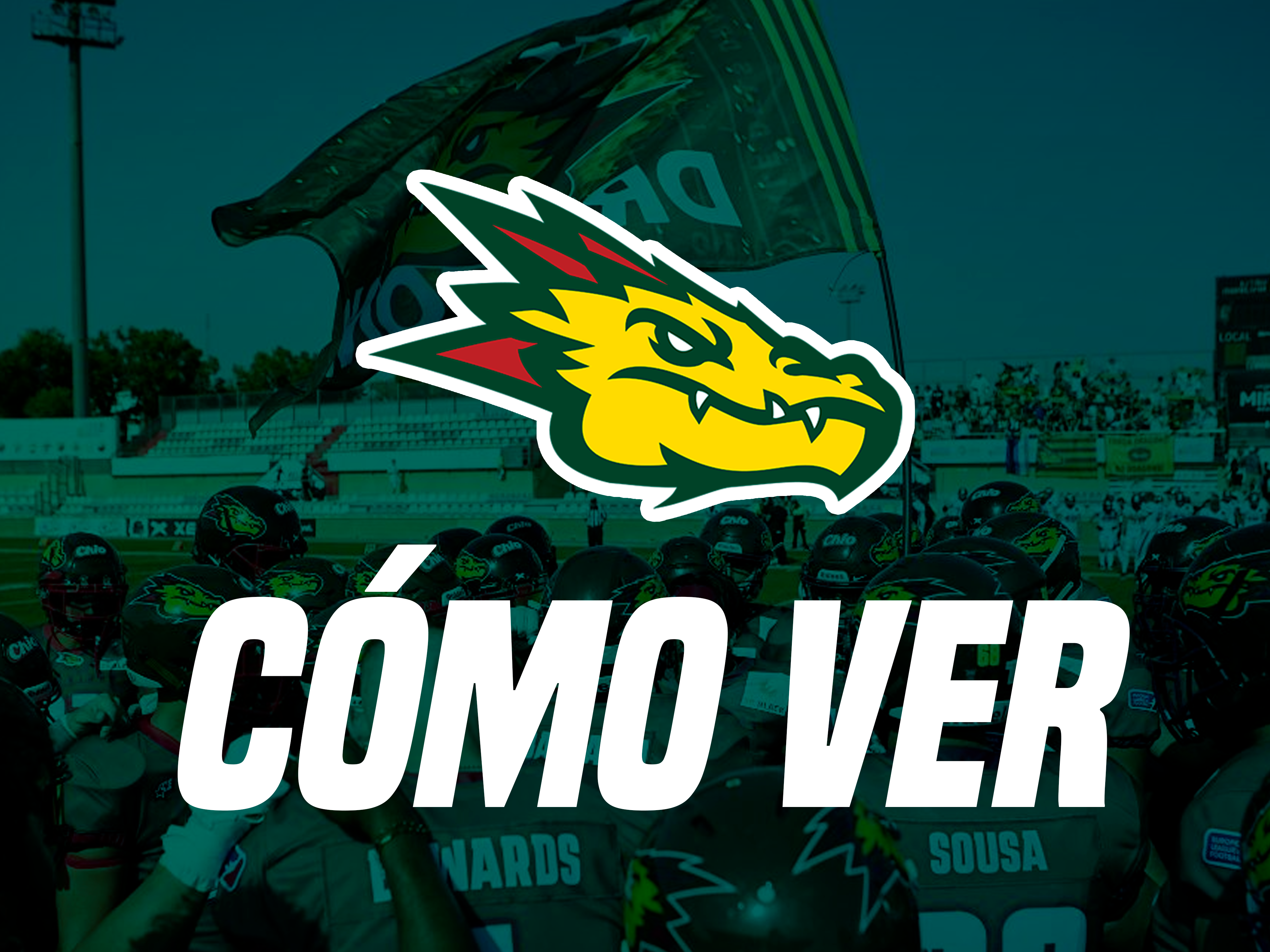 Cómo ver los partidos de los Barcelona Dragons