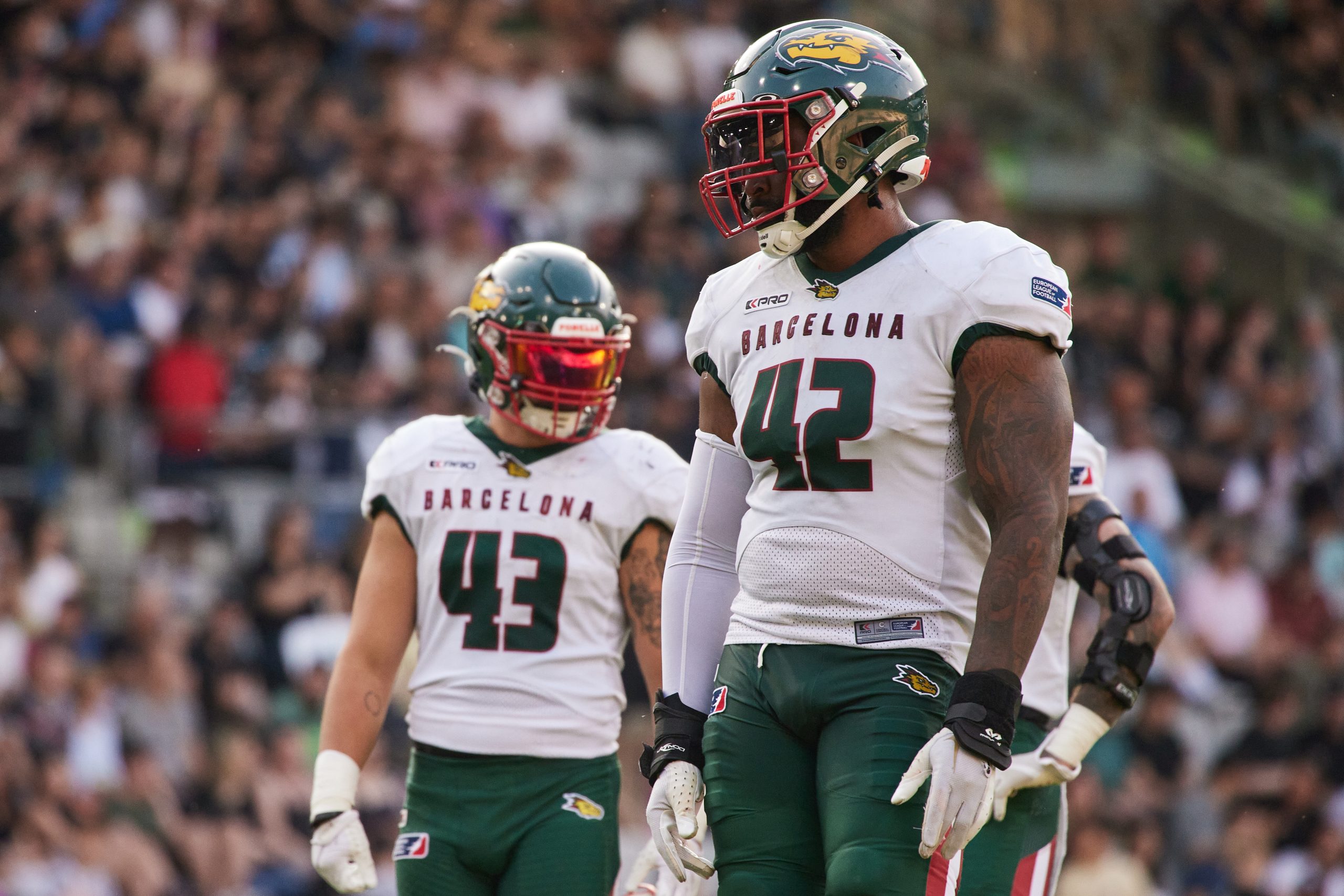 Los Raiders Tirol acaban con el invicto de los Dragons en la tercera jornada